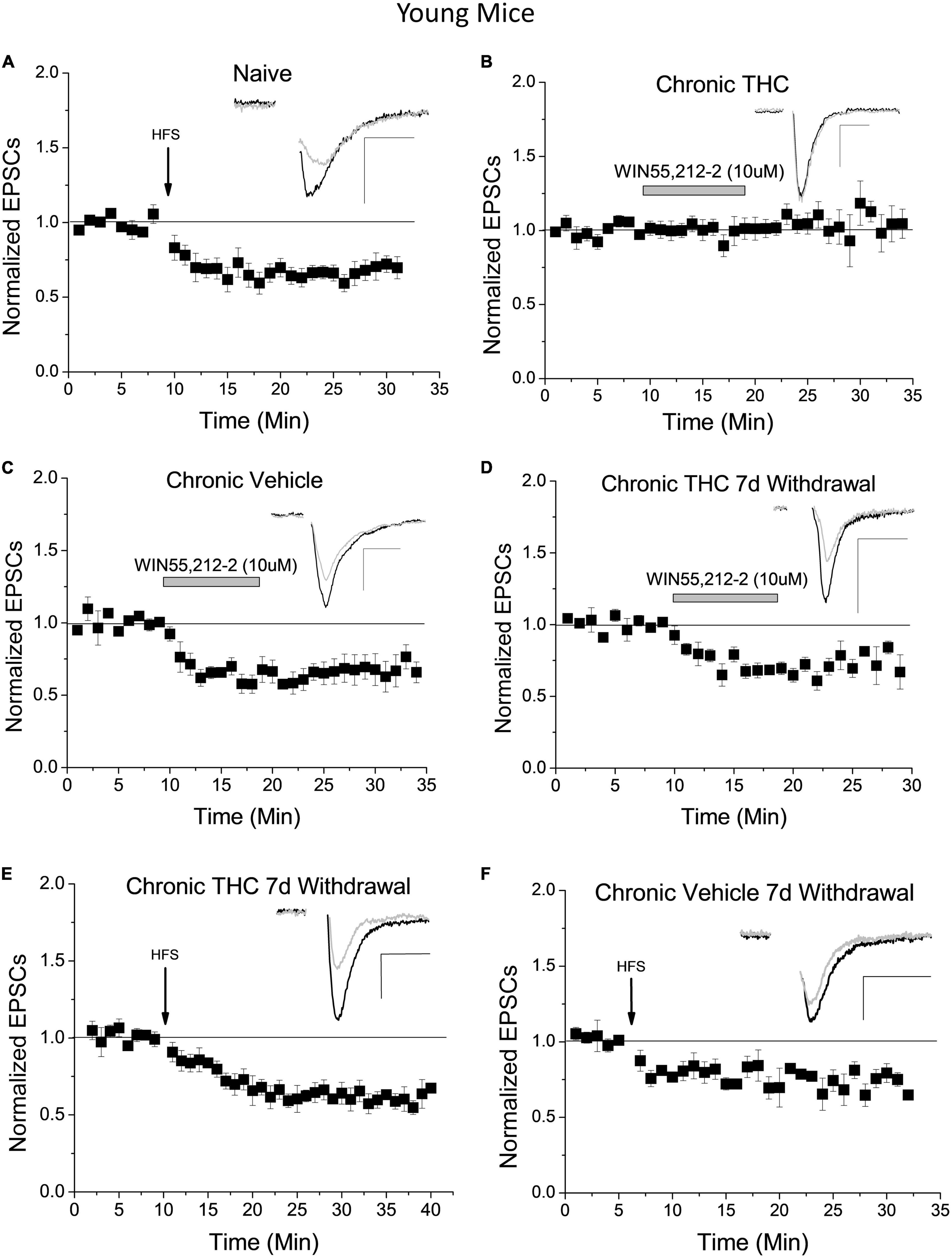 Chronic Δ9-tetrahydrocannabinol impact on plasticity, and differential activation requirement for CB1-dependent long-term depression in ventral tegmental area GABA neurons in adult versus young mice